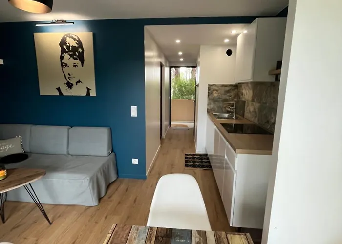 Cosy Avec Piscine Climatise Wifi Apartament Balaruc-les-Bains