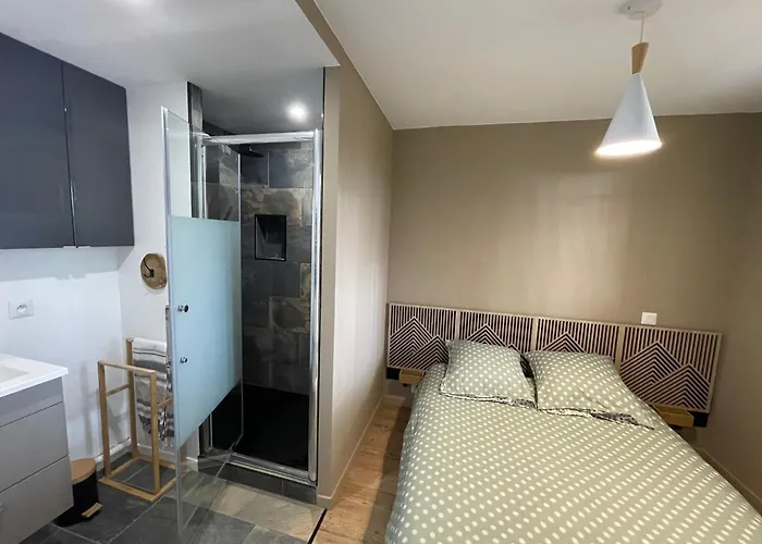 Cosy Avec Piscine Climatise Wifi Apartament