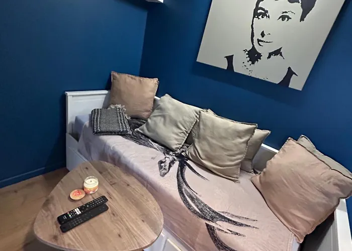 Apartament Cosy Avec Piscine Climatise Wifi Balaruc-les-Bains