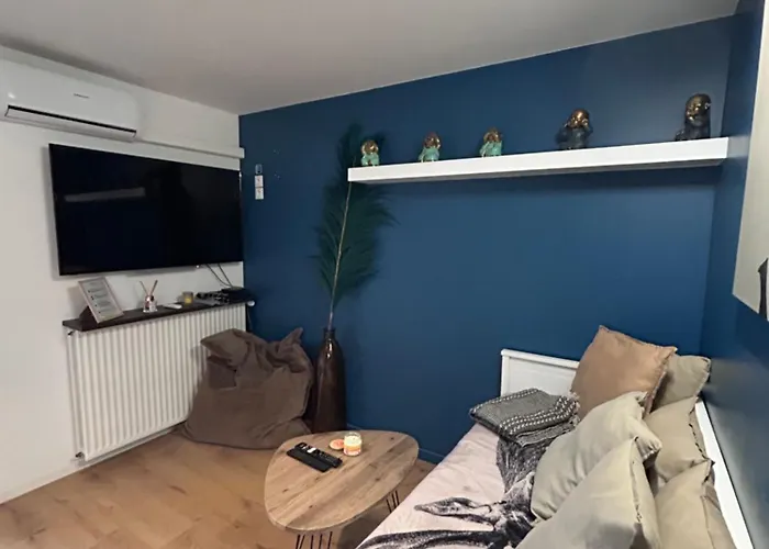 Apartament Cosy Avec Piscine Climatise Wifi *