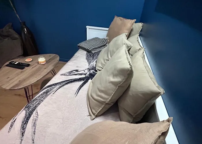 Cosy Avec Piscine Climatise Wifi Balaruc-les-Bains