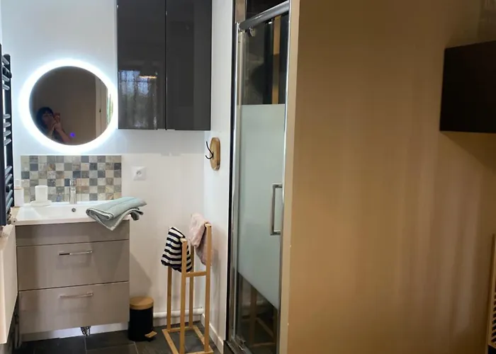 Apartament Cosy Avec Piscine Climatise Wifi *